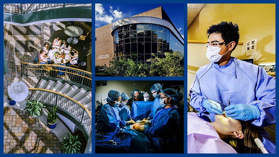 Health and Human Services image collage featuring the building's exterior, a spiral staircase within the building's foyer, a group of students practicing surgery, and a student practicing dentistry on a patient
