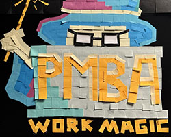 PMBA, Project Management and Business Analysis