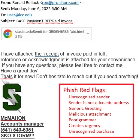 phish example screenshot