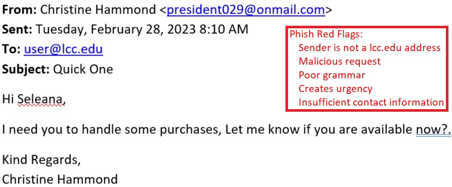 phish example screenshot