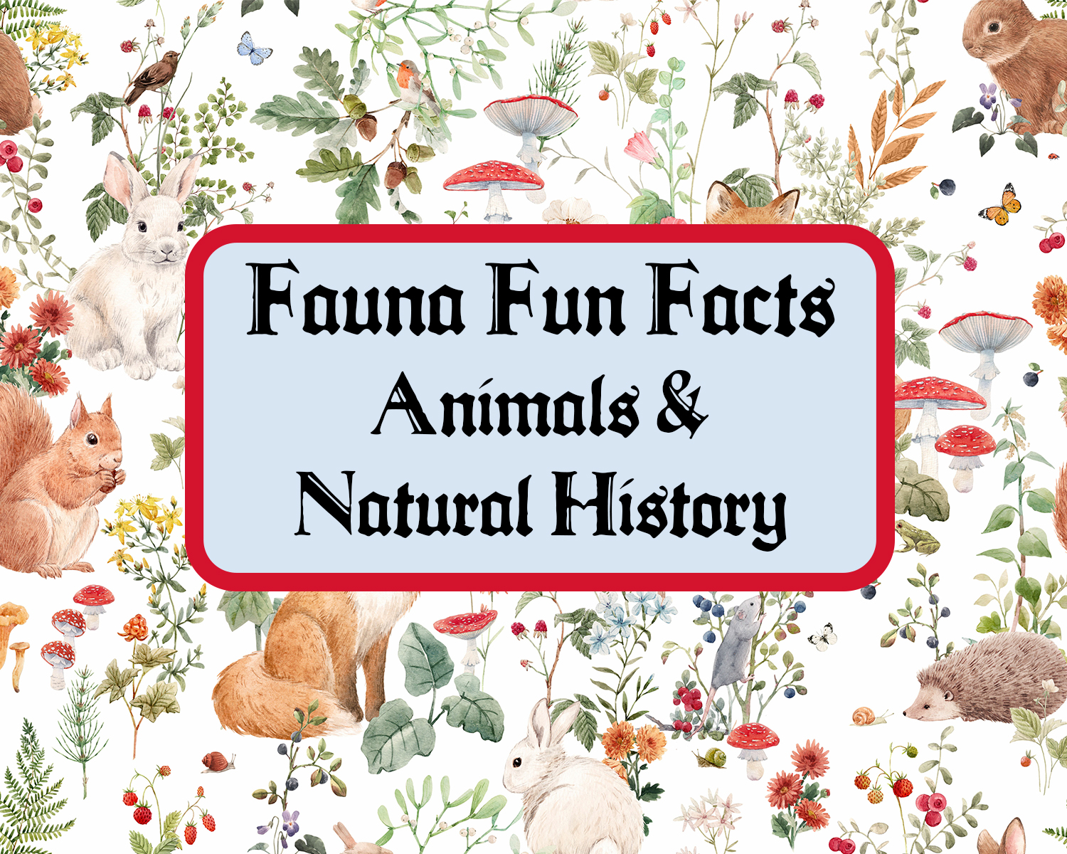 Image shows animals and plants with the words, "Fauna Fun Facts Animals & Natural History"